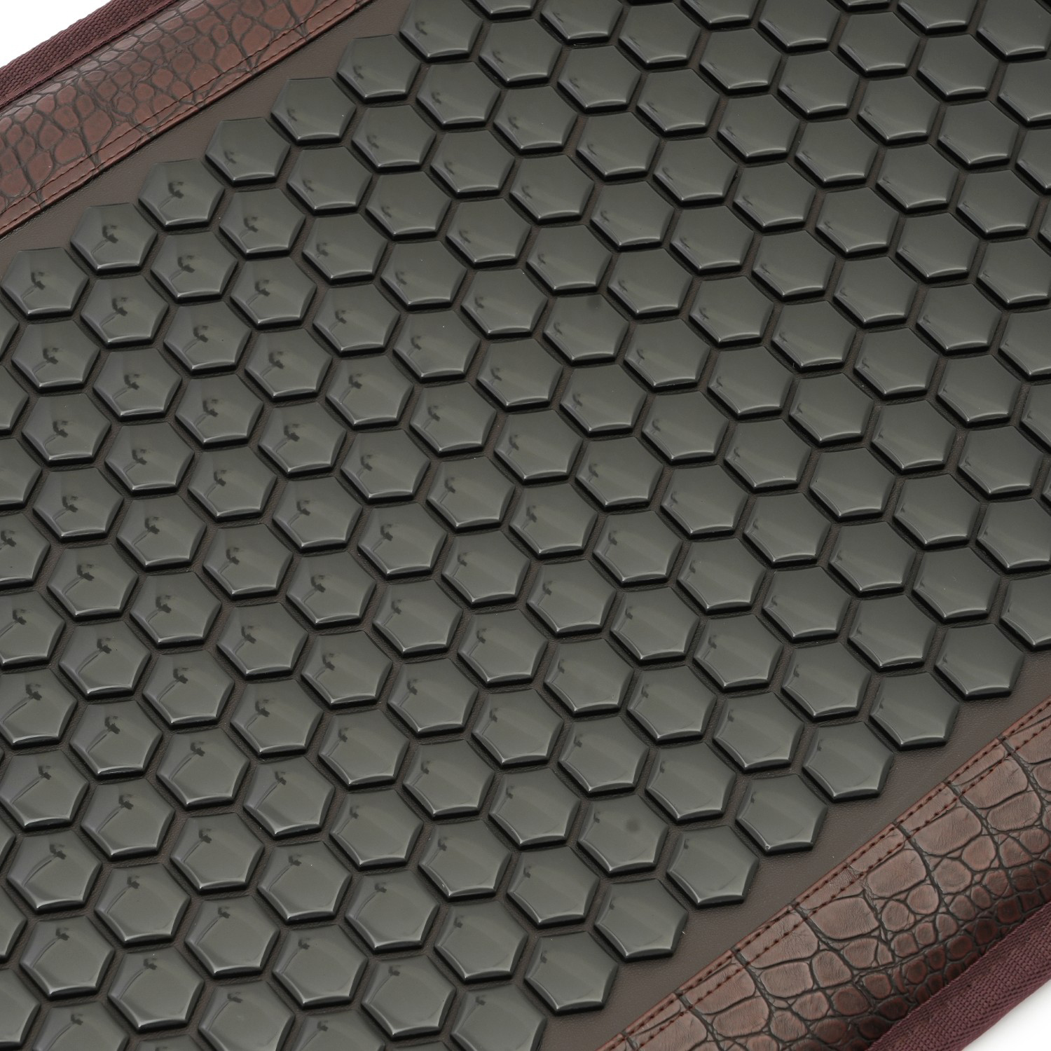 Health Queen Model 2016 Image 1